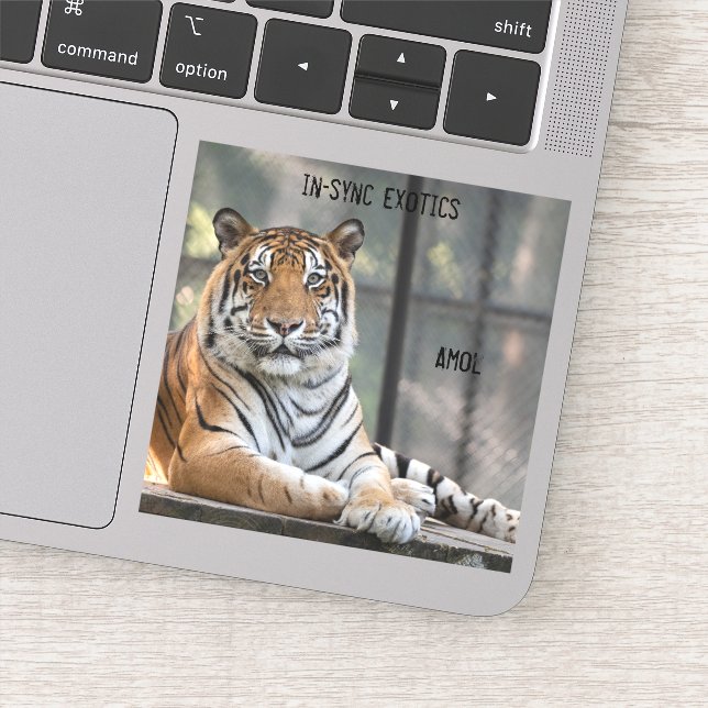 Adesivo Amol - (Detalhe)