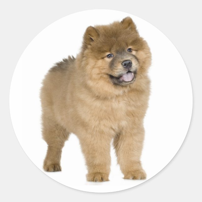 Adesivo Amor Chow Chow Puppy Dog Saudação Stickers (Frente)