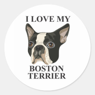 Adesivo Amor de Boston Terrier