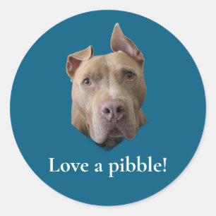 Adesivo Amor de Pit Bull por um Pibble
