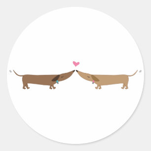 Adesivo amor do doxie