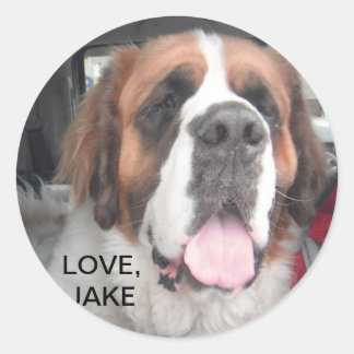 ADESIVO AMOR, JAKE STICKER