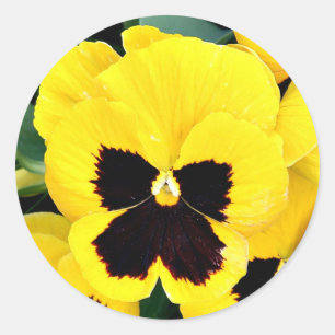 Adesivo Amor perfeito amarelo