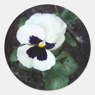 Adesivo Amor perfeito branco bonito