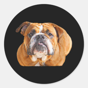 Adesivo Amor Rosto de Cachorro-Grande Inglês - Mascote Mar