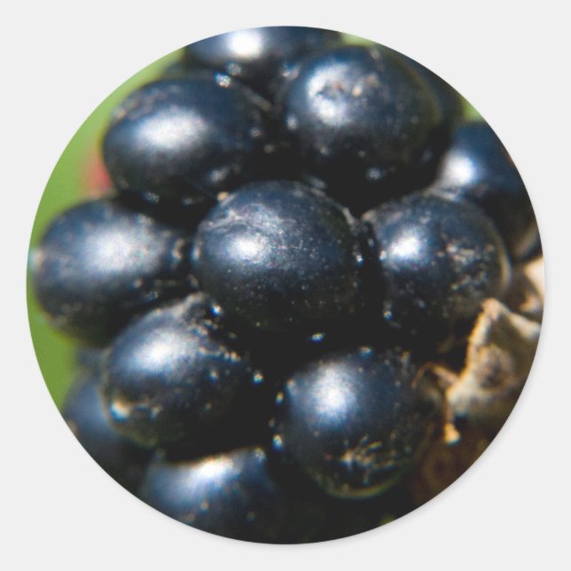 Adesivo Amoras (Frente)