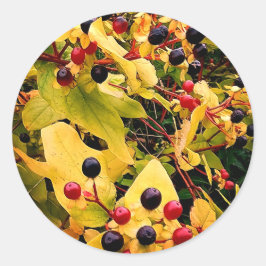 Adesivo Amoras pretas e vermelhas