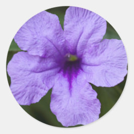 Adesivo Anã Roxo Petunia Mexicana