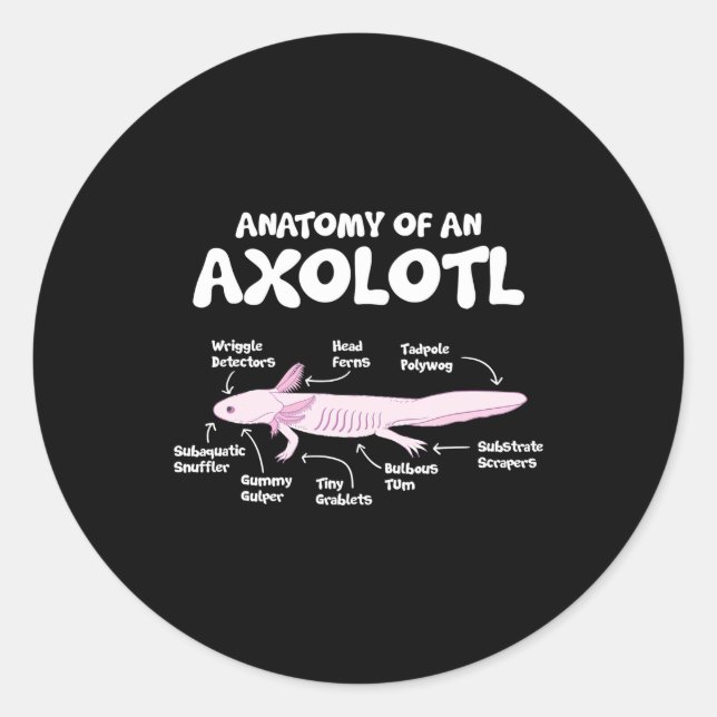 Adesivo anatomia de axolotl axolotls biology science (Frente)