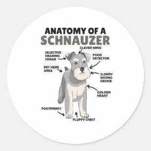Adesivo Anatomia De Cachorro Cuto Schnauzer