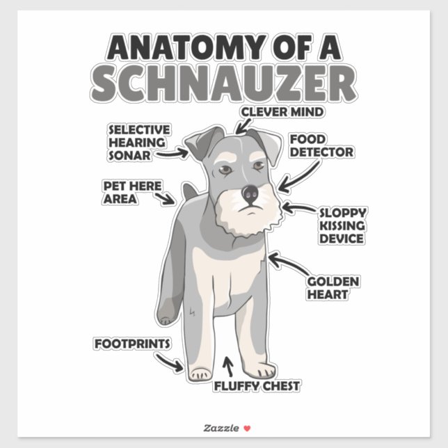 Adesivo Anatomia De Cachorro Cuto Schnauzer (Folha)