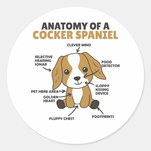 Adesivo Anatomia De Cachorro De Cocker Espanhol (Frente)