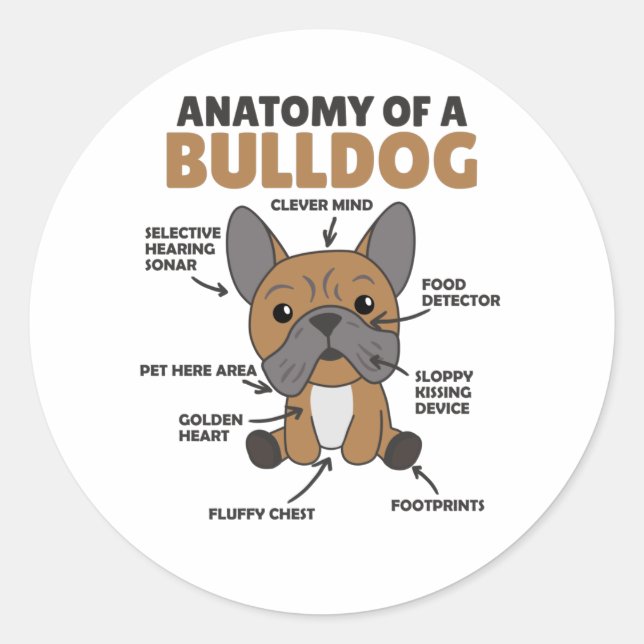 Adesivo Anatomia De Cachorro Engraçado Cachorro (Frente)