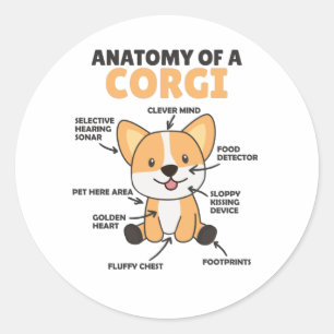 Adesivo Anatomia De Corgi Cute Cães Engraçados