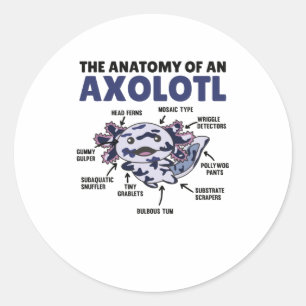 Adesivo Anatomia de Explicação do Axolotl Mosaico de um 