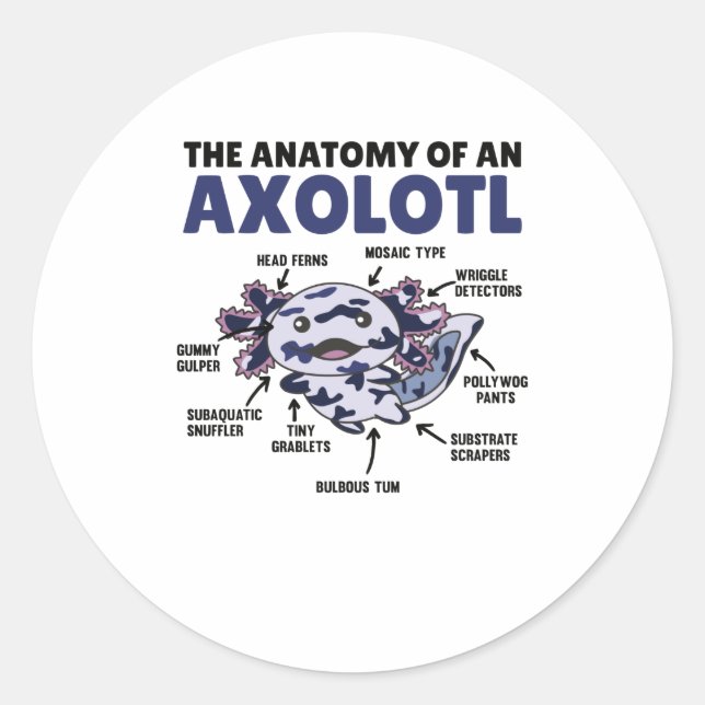 Adesivo Anatomia de Explicação do Axolotl Mosaico de um Ax (Frente)