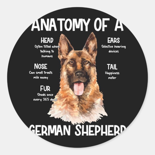 Adesivo Anatomia De German shepherd Para Cachorros (Frente)