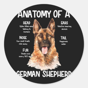 Adesivo Anatomia De German shepherd Para Cachorros
