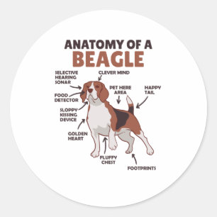 Adesivo Anatomia De Um Beagle Cute Cães Engraçados
