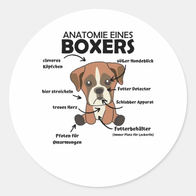 Adesivo Anatomia De Um Cachorro Doce Boxer (Frente)