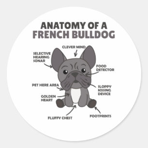 Adesivo Anatomia De Um Cachorro Francês Cachorros Engraç