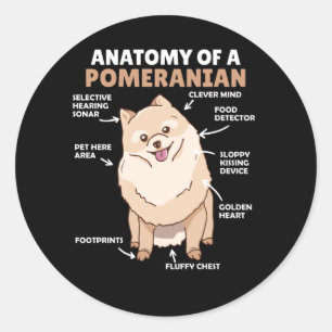 Adesivo Anatomia De Um Cachorro Pomeraniano Cute Puppy