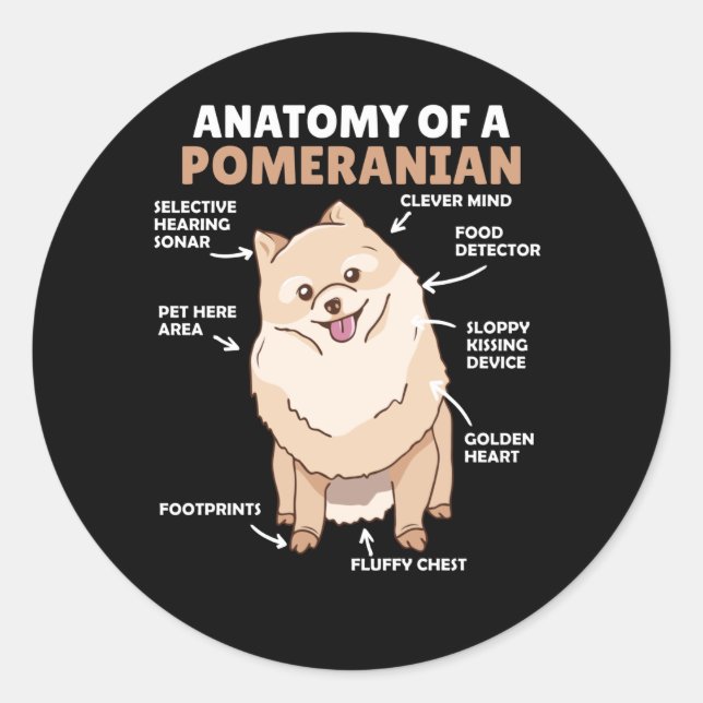 Adesivo Anatomia De Um Cachorro Pomerano Cute Puppy (Frente)