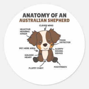Adesivo Anatomia De Um Cão Doce Pastor Australiano
