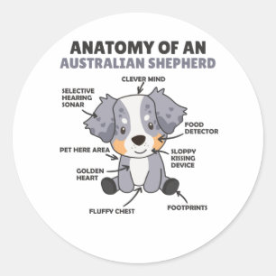 Adesivo Anatomia De Um Cão Doce Pastor Australiano
