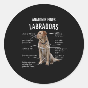 Adesivo Anatomia De Um Cão Engraçado De Labrador Retriev