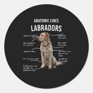 Adesivo Anatomia De Um Cão Engraçado Labrador Retriever