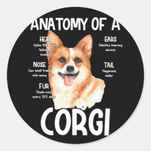 Adesivo Anatomia De Um Corgi Para Cachorros