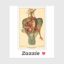 Adesivo Anatomia de um Pombo