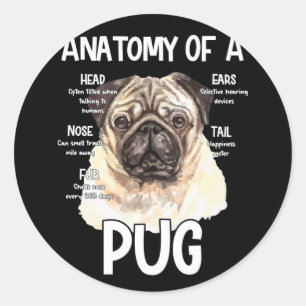 Adesivo Anatomia De Um Pug Para Cachorros