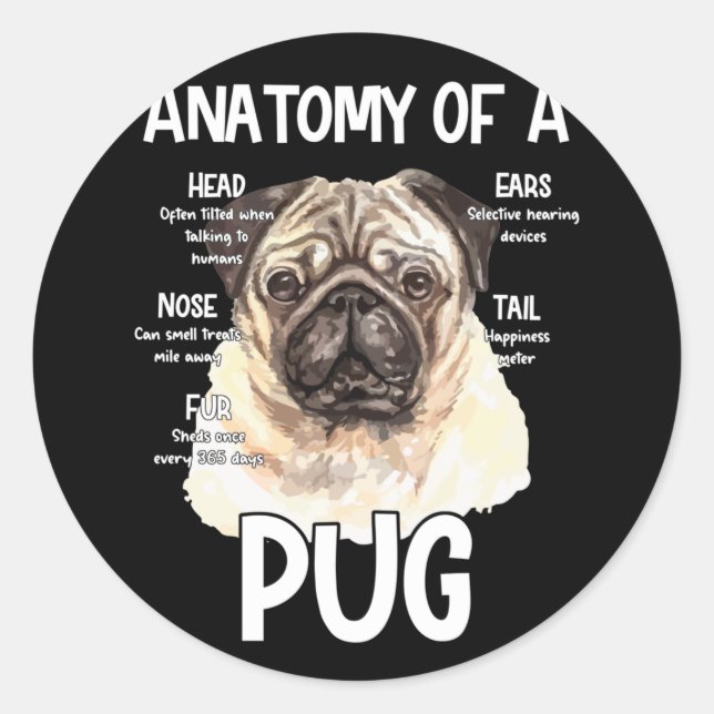 Adesivo Anatomia De Um Pug Para Cachorros (Frente)