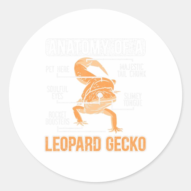 Adesivo Anatomia De Um Rep Animal Lizard Do Lover Gecko Le (Frente)