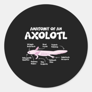 Adesivo anatomia de uma axolotl axolotls biology science