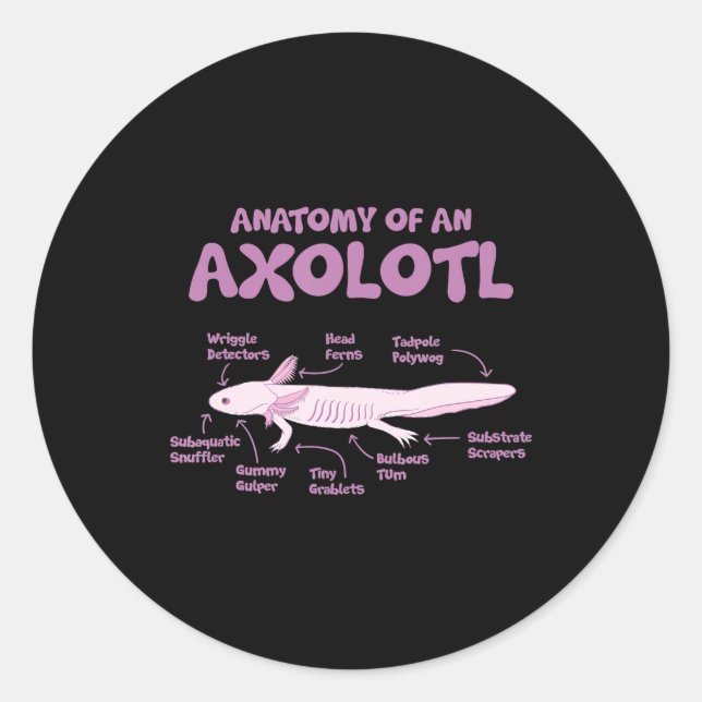 Adesivo anatomia de uma axolotl axolotls biology science. (Frente)