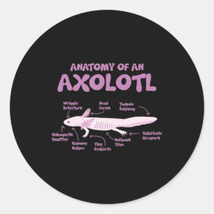 Adesivo anatomia de uma axolotl axolotls biology science.