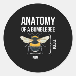 Adesivo Anatomia De Uma Citação De Humor Sarcástico Engraç