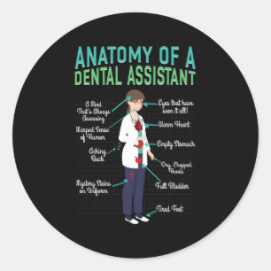 Adesivo Anatomia Dentária Assistente De Higienista Dentist
