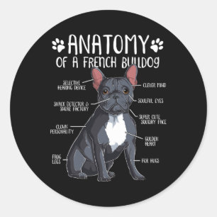 Adesivo Anatomia do Bulldog Francês Cachorro Francês Propr