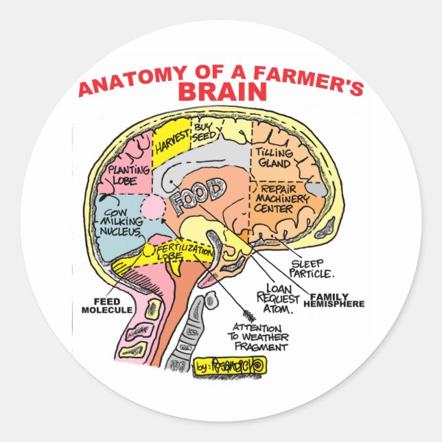 ADESIVO ANATOMIA DO CÉREBRO DE UM AGRICULTOR (Frente)
