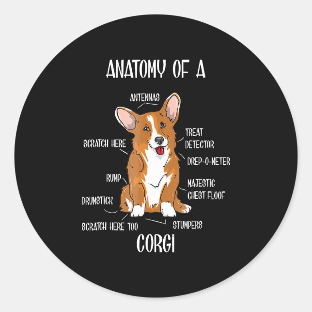 Adesivo Anatomia dos cães, dote de biologia fofa de galês. (Frente)