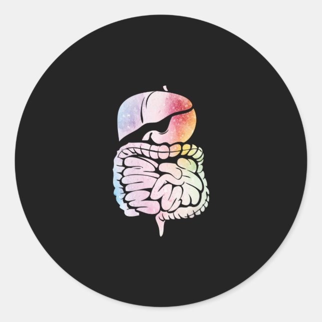 Adesivo Anatomia dos órgãos internos humanos Sistema diges (Frente)