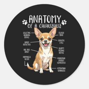 Adesivo Anatomia Engraçada de um Dono de Chihuahua P