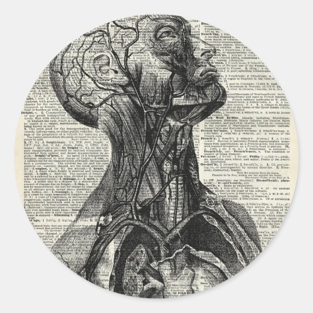 Adesivo Anatomia humana médica (Frente)