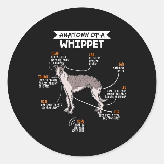 Adesivo Anatomy Of A Whippet Dog (Frente)