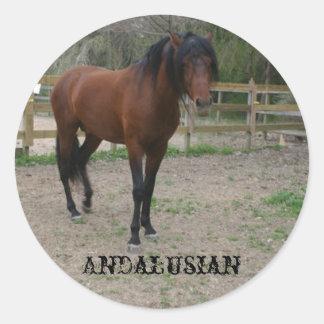 Adesivo Andaluz