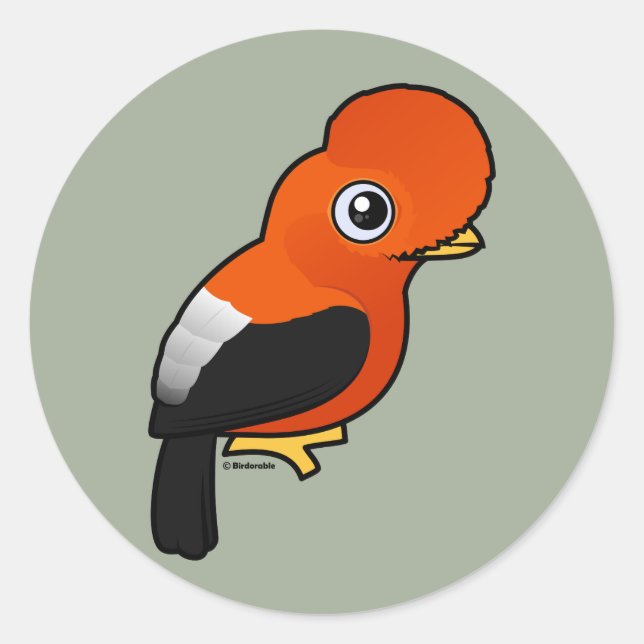 Adesivo Andean Cock-of-the-rock (Frente)